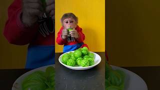 Baby Monkey Eats Candy Watermelon Soft