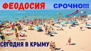 ФЕОДОСИЯ:золотой песчаный пляж Жажда.Эллинг и гостиницы у моря для отдыхающих.Крым сегодня Цена пива