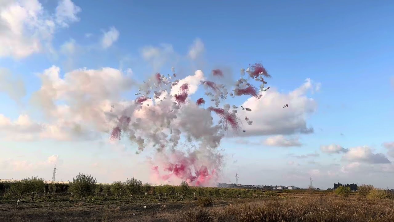 Adelfia 10 Novembre 2024 Festeggiamenti San Trifone Martire e Spettacolo Ditta PIROTECNICA MODERNA