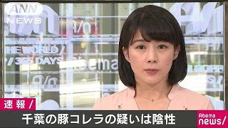 千葉県内の豚コレラは「陰性」　養豚場での豚大量死(18/05/24)