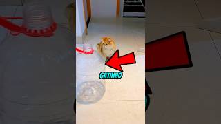 Ela Fez Um Carrinho Para O Outro Também! 😅