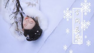 세상에 혼자 남겨진 것 같을 때 듣는 중국노래《 雪问花年》| 설문화년