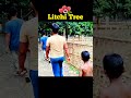 mini vlog video👽 #love #minivlog #dhuliya #travelvlog #travel #travelblog #vlog