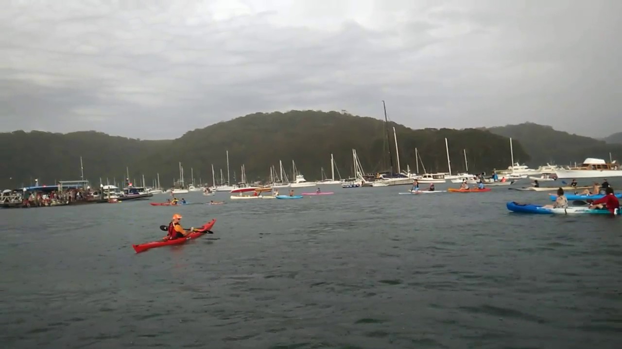 2016 Scotland Island Dog Race Finish YouTube
