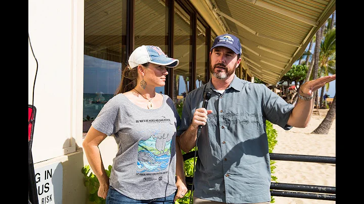 Hawaiian Monk Seal Q&A With NOAA Scientists