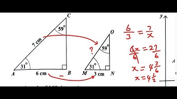 Questions 51, 52, 53, 54. 55. 56, 57| CXC CSEC June 2024 Multiple Choice SOLUTION