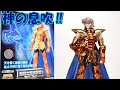 聖闘士星矢　聖闘士聖衣神話EX　海馬シーホースバイアンの紹介です！
