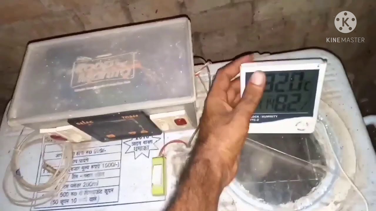 एग इनक्यूबेटर मशीन/How to make a 100 egg incubator - YouTube