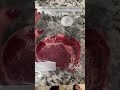 Customer reviews Chef Preserve Compact Vacuum Sealer for Food Vacuum Sealer Machine + 3
