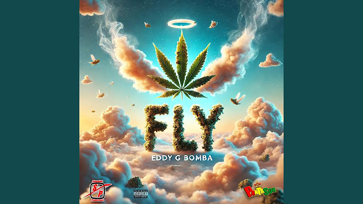 Fly