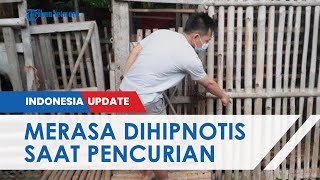 Heboh Pencurian 7 Ekor Kambing yang Disisakan Jeroannya Saja, Pemilik Mengaku Merasa Terhipnotis