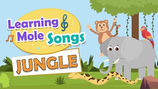Jungle Animals Song for Kids | Jungle Animals for Kids | Song about Jungle Animals for Kids | KS1