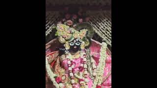 Download Lagu #Jay banke Bihari MP3