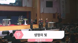 2024년 3월 10일 유앙겔리온 - 생명의 빛