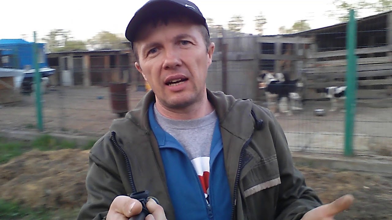 Бугай Алабай. Как оформить питомник и кто такой ЗАВОДЧИК? - YouTube