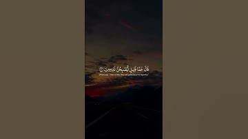 #تلاوة_خاشعة_تريح_القلب #القارئ_ماهر_المعيقلي #قران_كريم #quran #اكسبلور #لايك