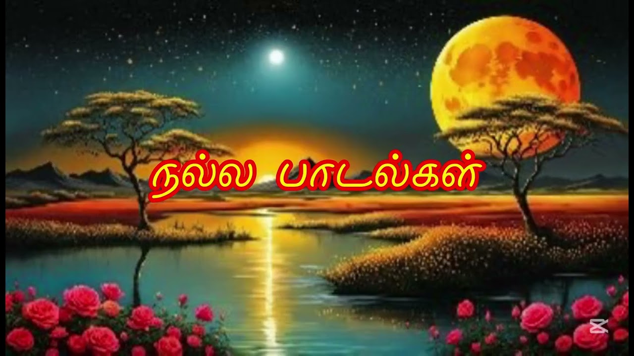 நல்ல பாடல்கள்🎶🎶Beautiful Tamil Melodies 💕