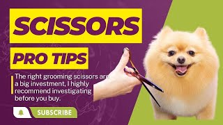 How To Choose Dog Grooming Scissors