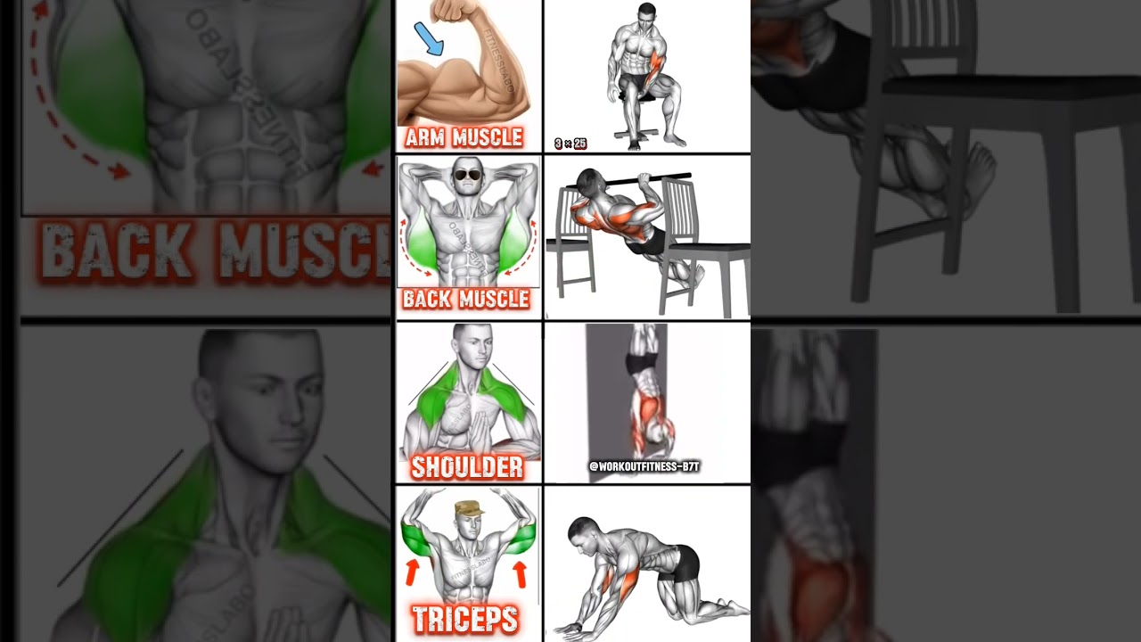 best home workout shoulder, triseps, backmuscle, and arm 