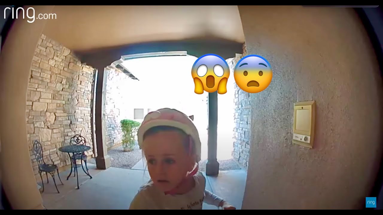 😱Girl saved herself from bobcat attack YouTube