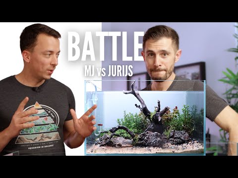 Nano Aquascaping Challenge With @mjaquascaping