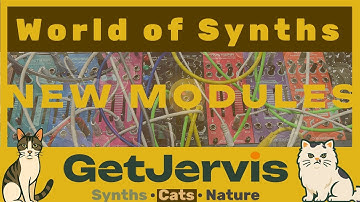Synth Secrets: New Module day Episode 64  #chat #cat #synth #pittsburghmodular  #modularsynth