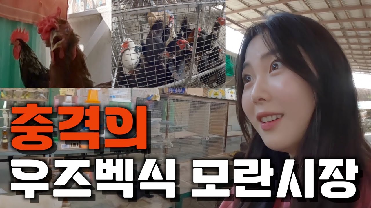 우즈베키스탄 대규모 골동품 시장 후기