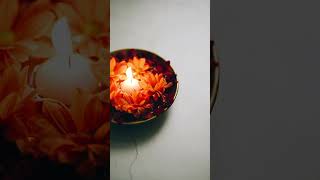 7121778 Hd 1080 1920 30Fps