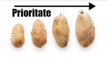 C++ Programare Orientată pe Obiect(e) - Part 3 [RO]