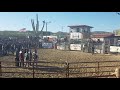 Bikers and bulls 2018