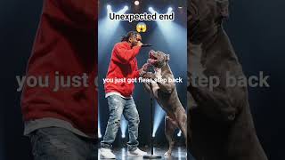 EPIC Rap Battle! 😂 Kutta nikla Rapper! 🐶🔥 #shorts #funnydog  #comedyvideos #funnyshorts #dogshorts