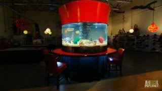 D Bar J Hats Custom Aquarium Tanked
