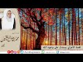 قصة الأعرابي يستدل على وجود الله الشيخ ابن العثيمين رحمه الله
