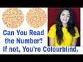 Color Blindness Medical Ishihara Test | How to check Colorblindness at home?