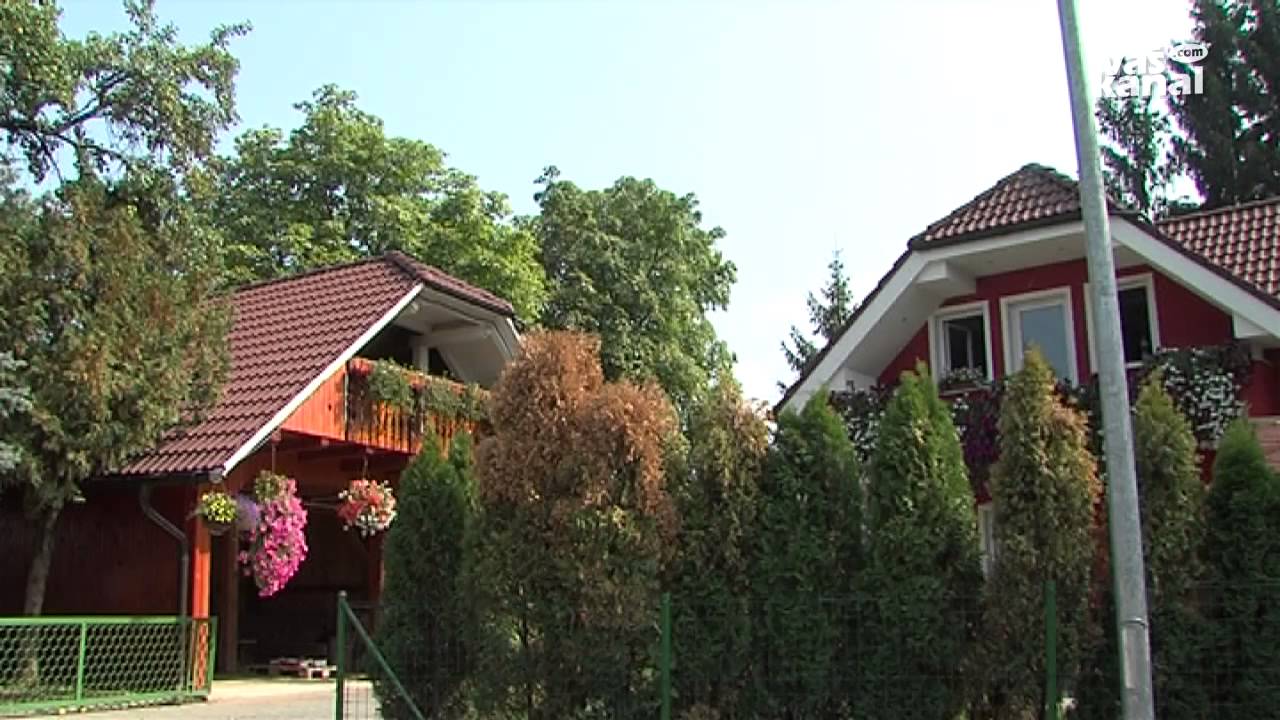 O nevarnostih streljanja z Romi