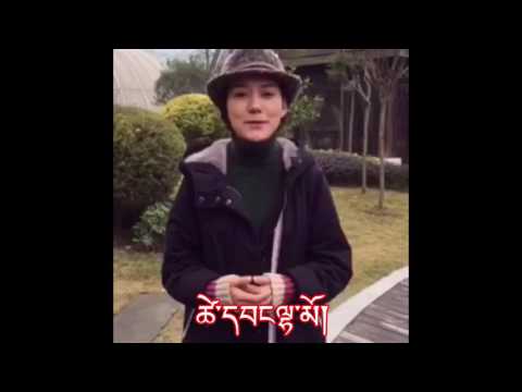 我是泽旺拉姆 TsewangLhamo new song