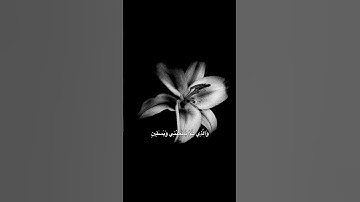 اكتب شيء تؤجر عليه  #قرآن #اكسبلور #المصحف #سورة_الشعراء #يوسف_الصقير #راحة_نفسية #quran 