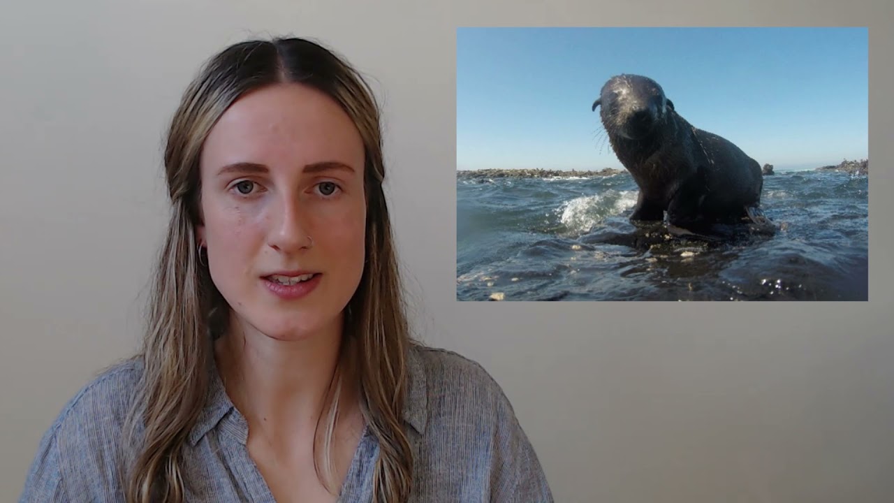 Scientist in Residence | Jessalyn Taylor | PhD Candidate