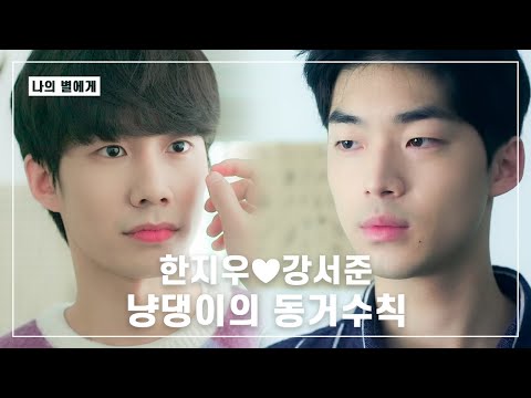 [나의별에게] 냥댕이의 동거수칙 | 꿀 떨어지는 동거
