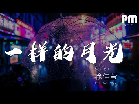 徐佳瑩 - 一樣的月光 (Live)『被你離開的 反作用力』【動態歌詞Lyrics】