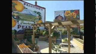 Rachael Ray Tv Show Clip Mr Contractor 3.Mov