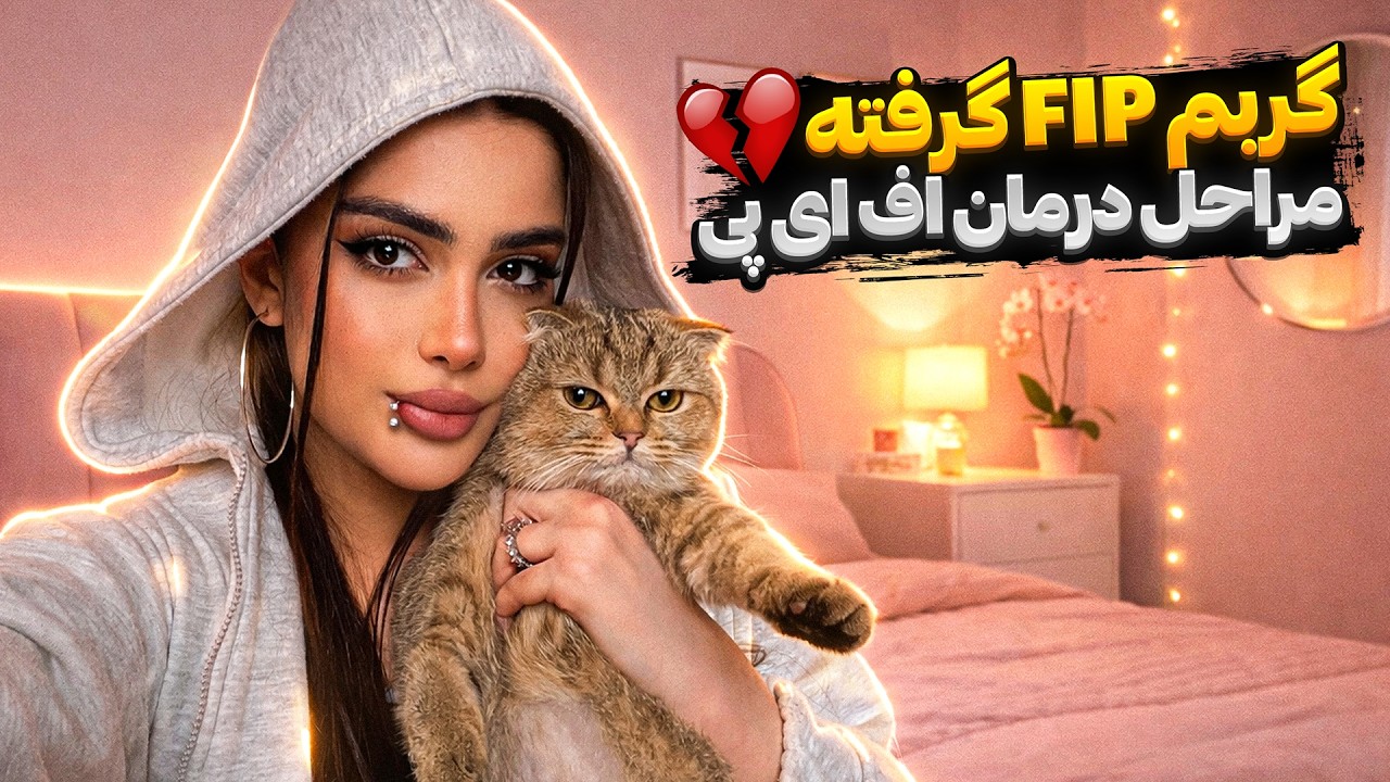 گربم FIP گرفته💔مراحل درمان اف ای پی