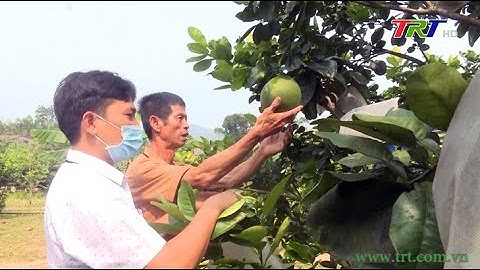 Huy động toàn lực cho công tác giảm nghèo