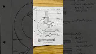 Compound microscope #biology #exam #neet
