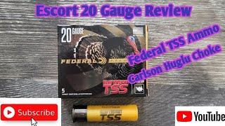Federal TSS 20 Gauge Turkey Ammo, Escort PS 20 Gauge Review