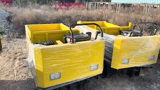 Auction Preview: Golf Carts, Mini Skid Steers & Tuk Tuks (March 2026)
