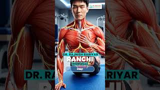 How Your Muscles Work? Complete Body Muscle Awareness | Dr. Bariyar Physiotherapy Ranchi