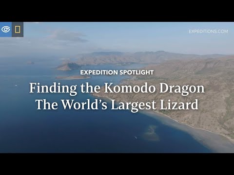 Expedition Spotlight: Finding the Komodo Dragon | Indonesia | Lindblad Expeditions