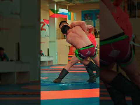 Бухэ Барилдаан