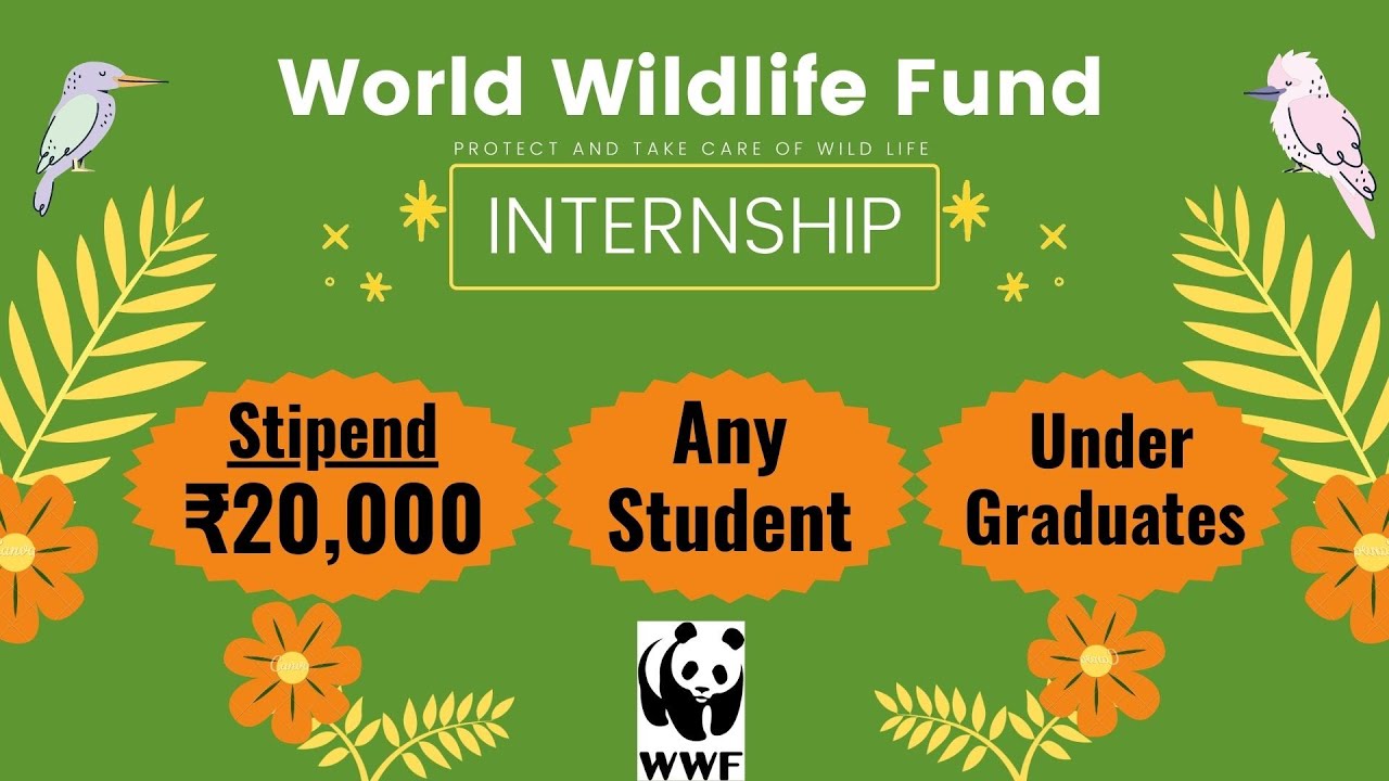 WWF India Internship 2022 Stipend ₹20,000 Any Student